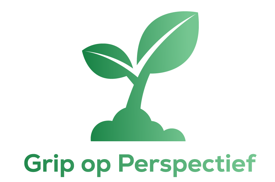 Grip op Perspectief